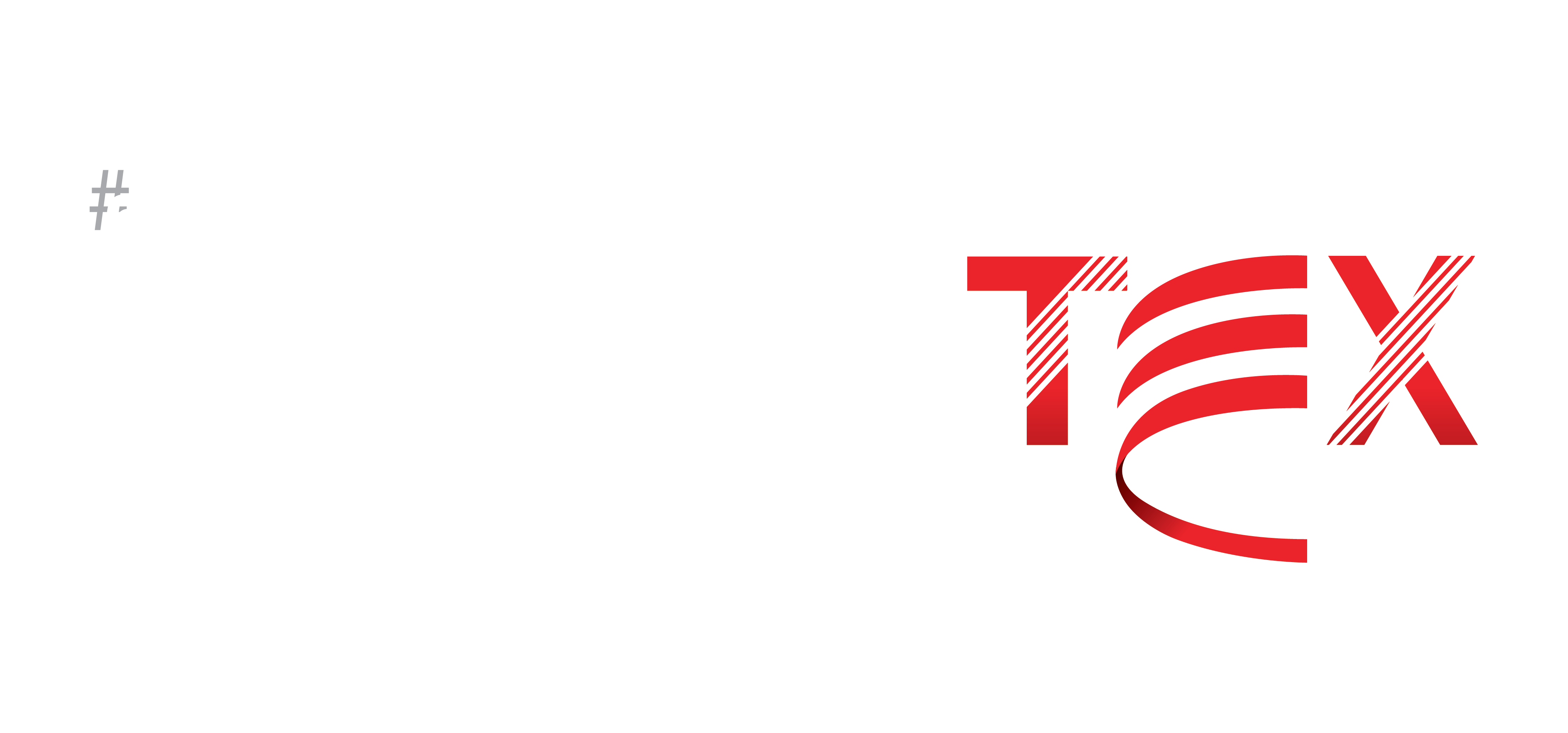 LatamTex Logo