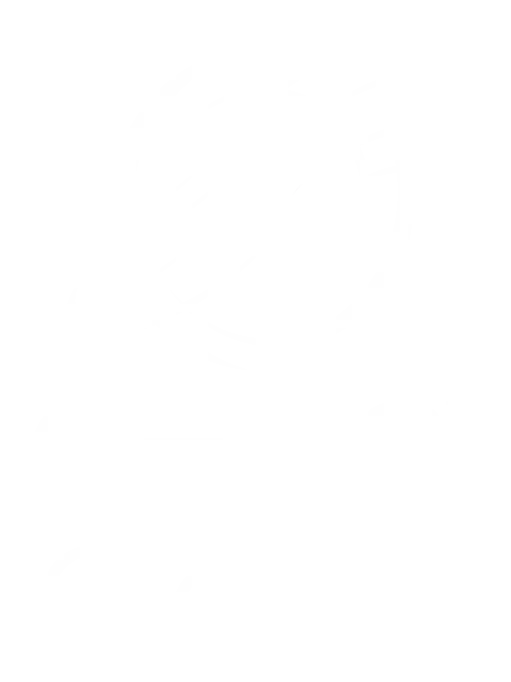 CEMS GLOBAL